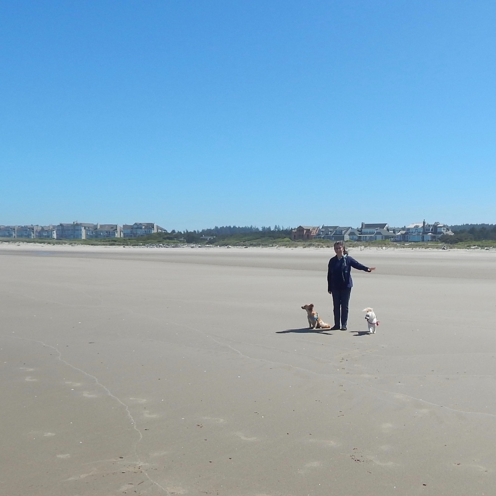 Meet your Posher, Cindy